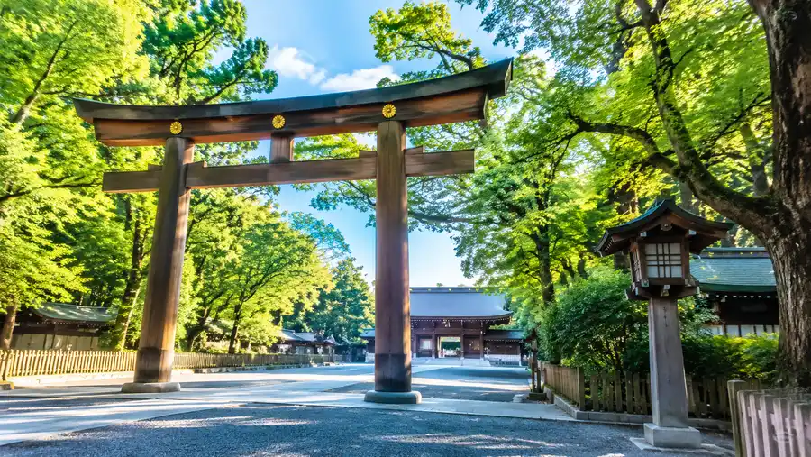 Meiji Shrine Inner Garden & Iconic Sights